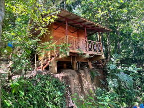 Gioia House
